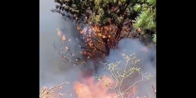 Recomendaciones del Sinae para evitar incendios forestales