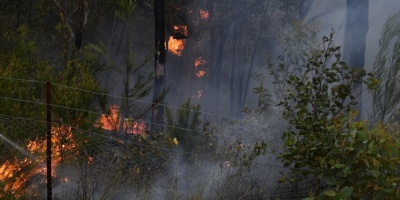 Bomberos continan combatiendo incendios forestales en el litoral