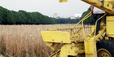 Ingresos de Argentina por exportaciones del agro crecieron 61,8 % en 2021