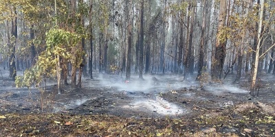 Incendios en R�o Negro y Paysand� fueron controlados