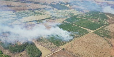 Productores afectados por incendio en el litoral piden mesa de dilogo para analizar y prevenir