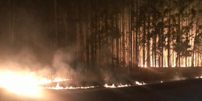 Bomberos radic denuncia penal tras constatar que cinco focos en Paysand fueron intencionales