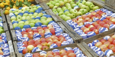 Granjeros expectantes por lluvias anunciadas para el fin de semana