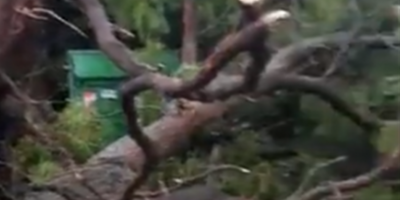 Turbonada arrastr� y lanz� un auto contra la banquina 