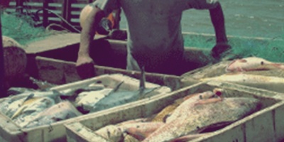 80 personas al seguro de paro por medida sindical en la pesca