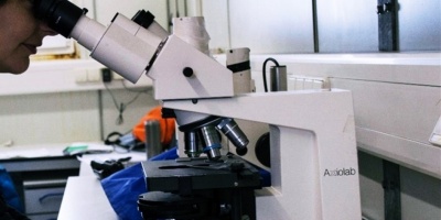 Un sub linaje de la variante �micron en Uruguay no tendr�a un comportamiento distinto a la que se viene observado