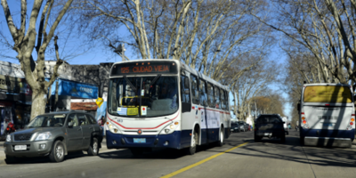 El 8 de marzo el transporte adhiere al paro sin detener sus servicios