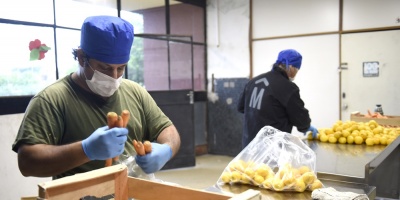 La Intendencia de Montevideo sustituy� el carn� de manipulaci�n de alimentos por una certificaci�n digital que se otorgar� sin costo