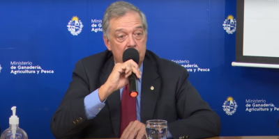 Vacunaci�n antiaftosa comienza el 15 de marzo