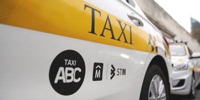 Junta Departamental de Montevideo habilit� los viajes en taxi de mascotas