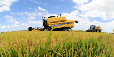 El presidente de la Rep�blica, Luis Lacalle Pou, asistir� esta tarde a la Expo Melilla