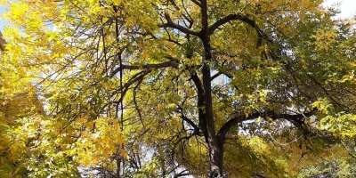 �C�mo estar� el tiempo en semana de Turismo?