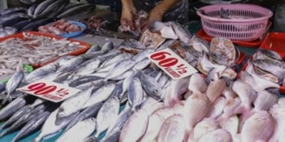Niegan que falte pescado en el mercado interno, como afirm� la C�mara de la Industria del sector