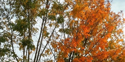 �C�mo estar� el tiempo durante el fin de semana de Turismo?