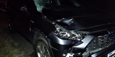 Un ciudadano argentino fallece al ser embestido por un auto 