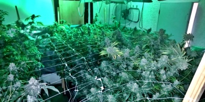 La Polic�a realiz� 20 allanamientos, incaut� drogas y detuvo a 22 personas en el marco de la Operaci�n Mal�fica II