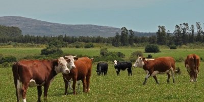 La Asociacin Rural del Uruguay coincide en adelantar los correctivos por inflacin 