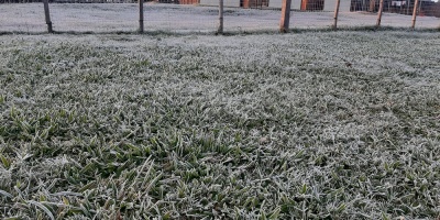 Heladas: Ms de 3 grados bajo cero en varias zonas
