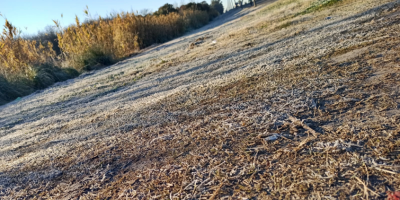 Asociacin de Faoneros se rene con CUPRA ante prdida de produccin por problemas en abastecimiento de gas