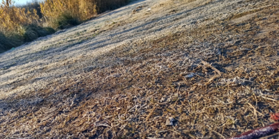 Recomendaciones del SINAE por bajas temperaturas