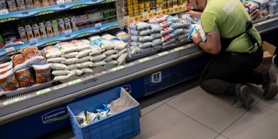 Se intensifican medidas en sector lcteo