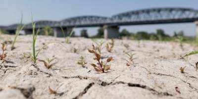 La sequía amenaza a un número creciente de países en todo el planeta