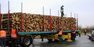 Transportista de madera fue agredido en piquete sindical de UPM