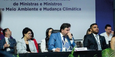 Pea exhorta a pases de la regin a negociar "de igual a igual sus recursos naturales
