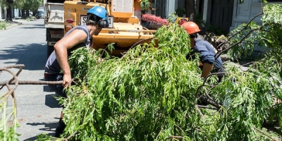 Comenz a funcionar una nueva estacin ambiental para el tratamiento de materiales orgnicos