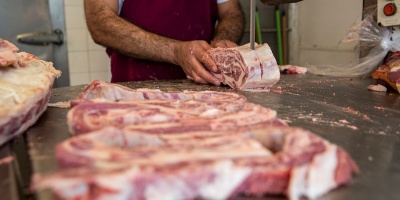 Lleg el primer embarque de carne importada de Brasil