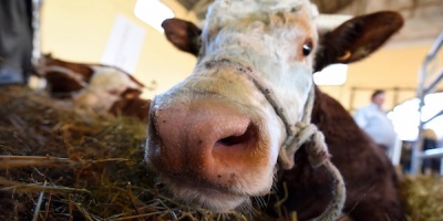 La Expo Prado se realizar� entre el 9 y el 18 de Setiembre