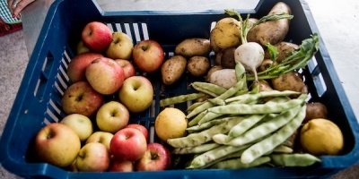 M�s de 2,6 millones de italianos pueden sufrir escasez de alimentos en oto�o