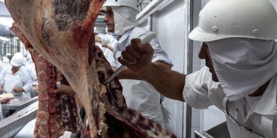 Ministerio de Trabajo convocar� a los propietarios de Frigocerro e inspeccionar� la planta