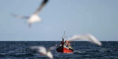 Proh�ben pesca de calamar y del pez �ngel en zona com�n argentina y uruguaya