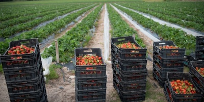Hasta el 16 de setiembre se reciben propuestas para participar del concurso de fotograf�a por el d�a de la Mujer Rural