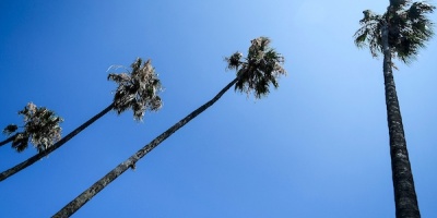 Temperaturas templadas durante los d�as de la Expo Prado