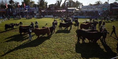 Gran cantidad de p�blico en la Expo Prado durante el fin de semana