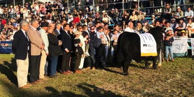 Lacalle Pou particip en premiacin a razas Aberdeen Angus y Polled Hereford