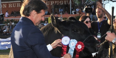 Lacalle Pou prepara viaje a Jap�n