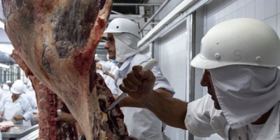 Baja un 40% la actividad en los frigor�ficos