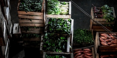 Guterres pide desbloquear la exportaci�n de fertilizantes rusos para evitar una crisis alimentaria