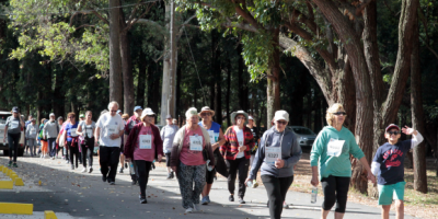  Caminata primaveral para personas mayores
