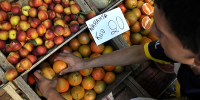 Uruguay buscar� exportar naranjas a Corea del Sur para potenciar las relaciones econ�micas 