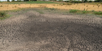 Diputados piden declaraci�n de emergencia agropecuaria
