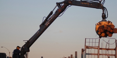 El grupo espa�ol Iberpapel vender� su patrimonio forestal en nuestro pa�s