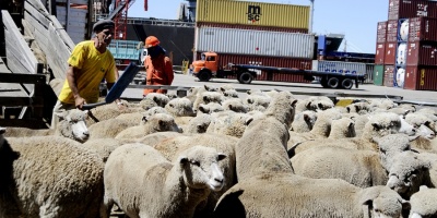 Las ventas al exterior cayeron 6% en octubre, seg�n el informe del Instituto Uruguay XXI