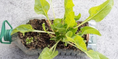 Se extiende plazo para presentar proyectos ambientales