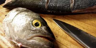 Marineros se amotinaron y dejaron pudrir 10 toneladas de pescado en cercan�as a Montevideo, denuncia la C�mara del sector