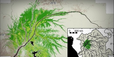 Podría registrarse una potencial emisión de carbono a gran escala en los depósito de vegetales descompuestos (turba) del Congo
