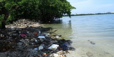 Investigadores alertan de la abundancia de microplásticos en lagunas costeras de todo el mundo